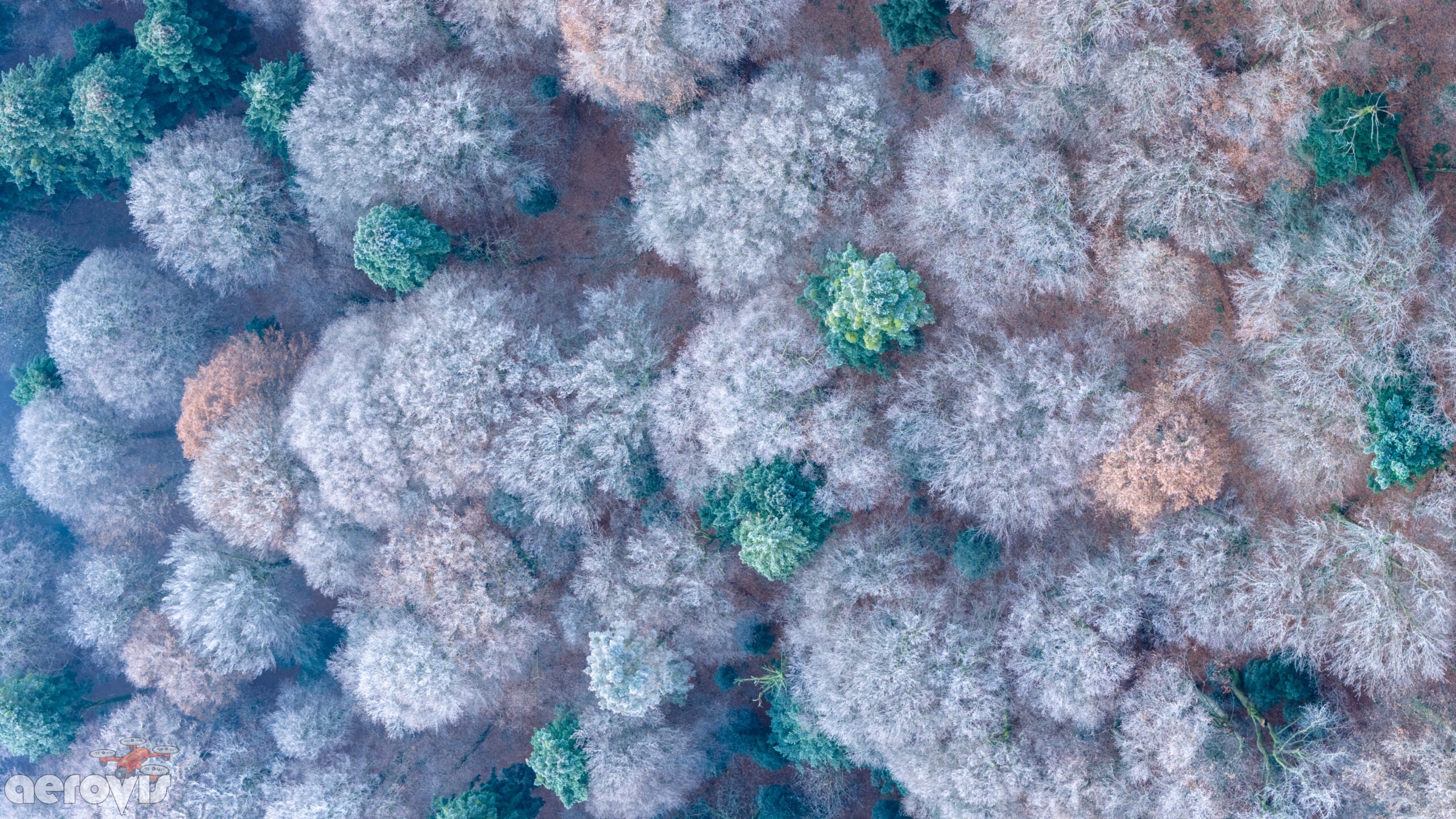 DJI_20251215110102_0027_D